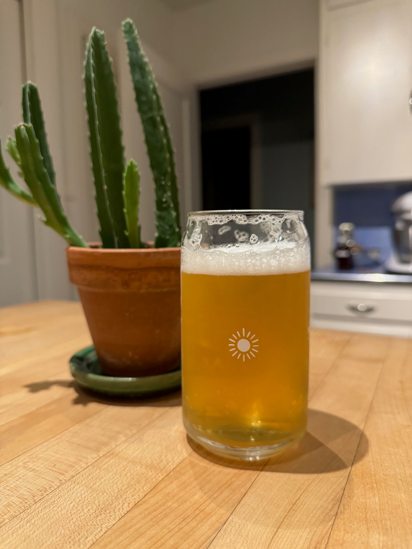 Bitcoin 'Upgrade the World' Can-Shaped Glass - Crypto Drinking Tumbler